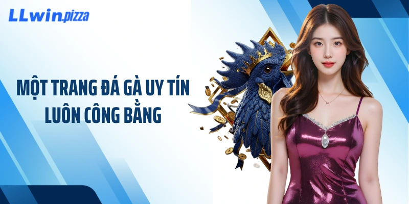 Một trang đá gà uy tín luôn công bằng