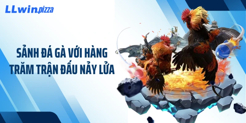 Sảnh đá gà với hàng trăm trận đấu nảy lửa