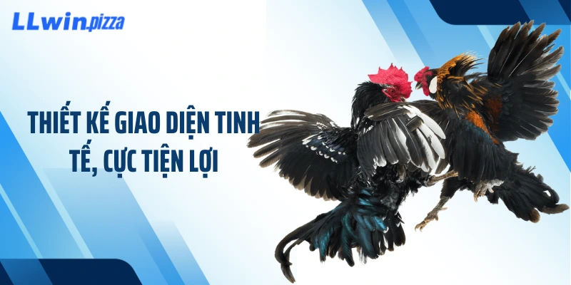 Thiết kế giao diện tinh tế, cực tiện lợi