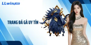 Trang Đá Gà Uy Tín - Điểm Đến Giải Trí Đầy Hấp Dẫn